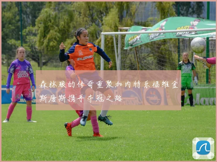 森林狼的传奇重聚加内特乐福维金斯唐斯携手夺冠之路