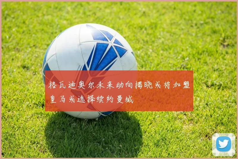格瓦迪奥尔未来动向揭晓或将加盟皇马或选择续约曼城