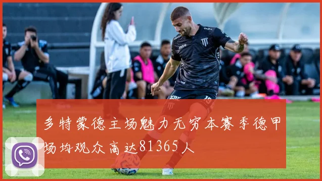 多特蒙德主场魅力无穷本赛季德甲场均观众高达81365人